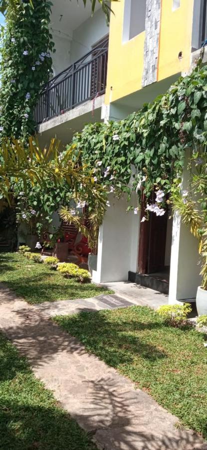 Mandara Rest Bed & Breakfast Hikkaduwa Exterior photo
